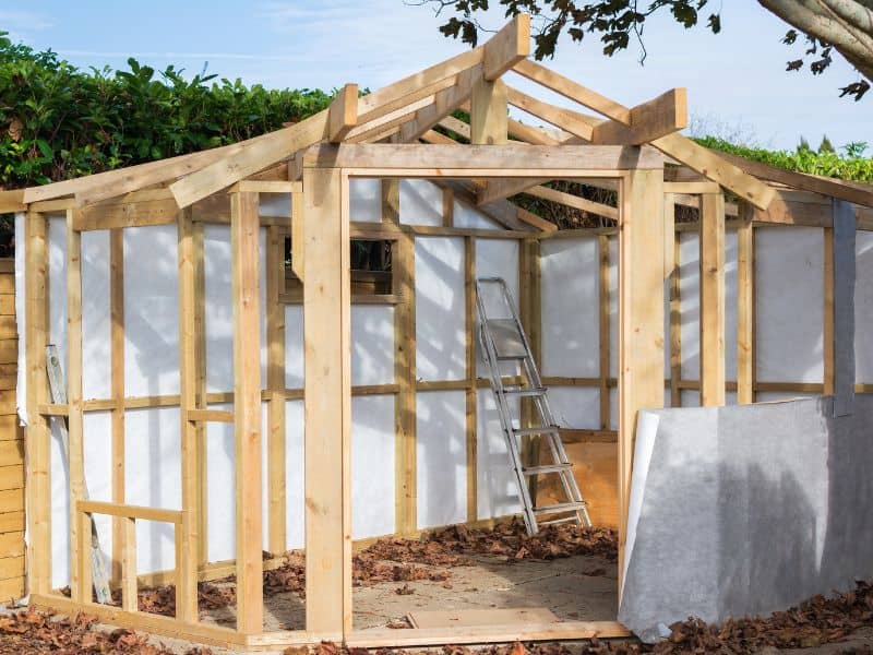 Wood-framed shed under construction with white sheathing, ladder inside, and roof trusses in a backyard scene.